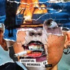 Intent cover art