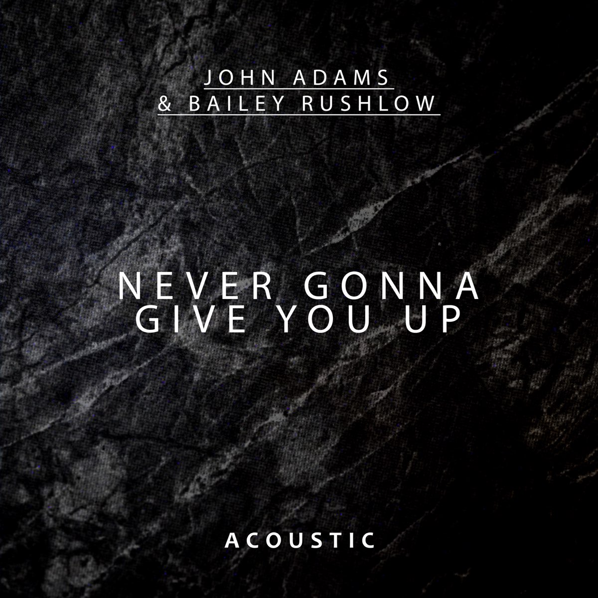 Never Gonna Give You Up (Acoustic) - Single - Album by Bailey Rushlow &  John Adams - Apple Music