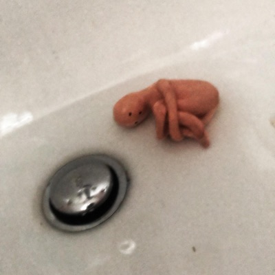 What Goes Down the Drain