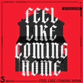 Feel Like Coming Home artwork