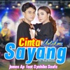 Cinta Untukmu Sayang (feat. Syahiba Saufa) - Single