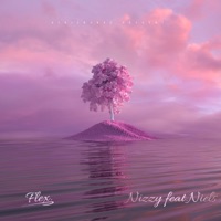 Flex (feat. niels) - Single - Nizzy