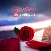 Quantum Sound (feat. MF's Finest & Seaboy Amigo) - Single - GR3ED