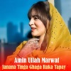 Janana Tinga Ghaga Raka Tapay - EP