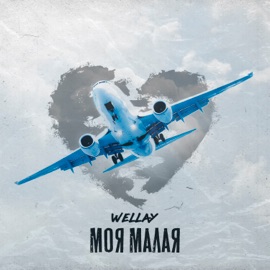 Моя малая WELLAY