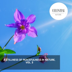 A Stillness of Peacefulness in Nature, Vol. 3
