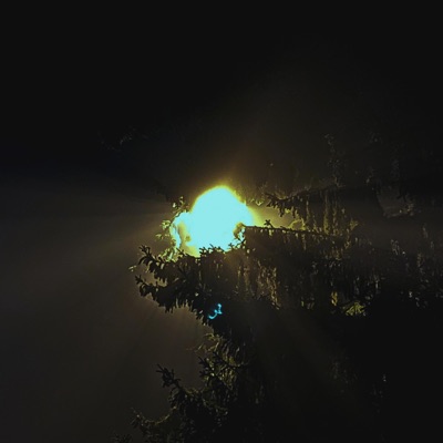 Nights - Single