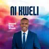 Chini ya mbawa