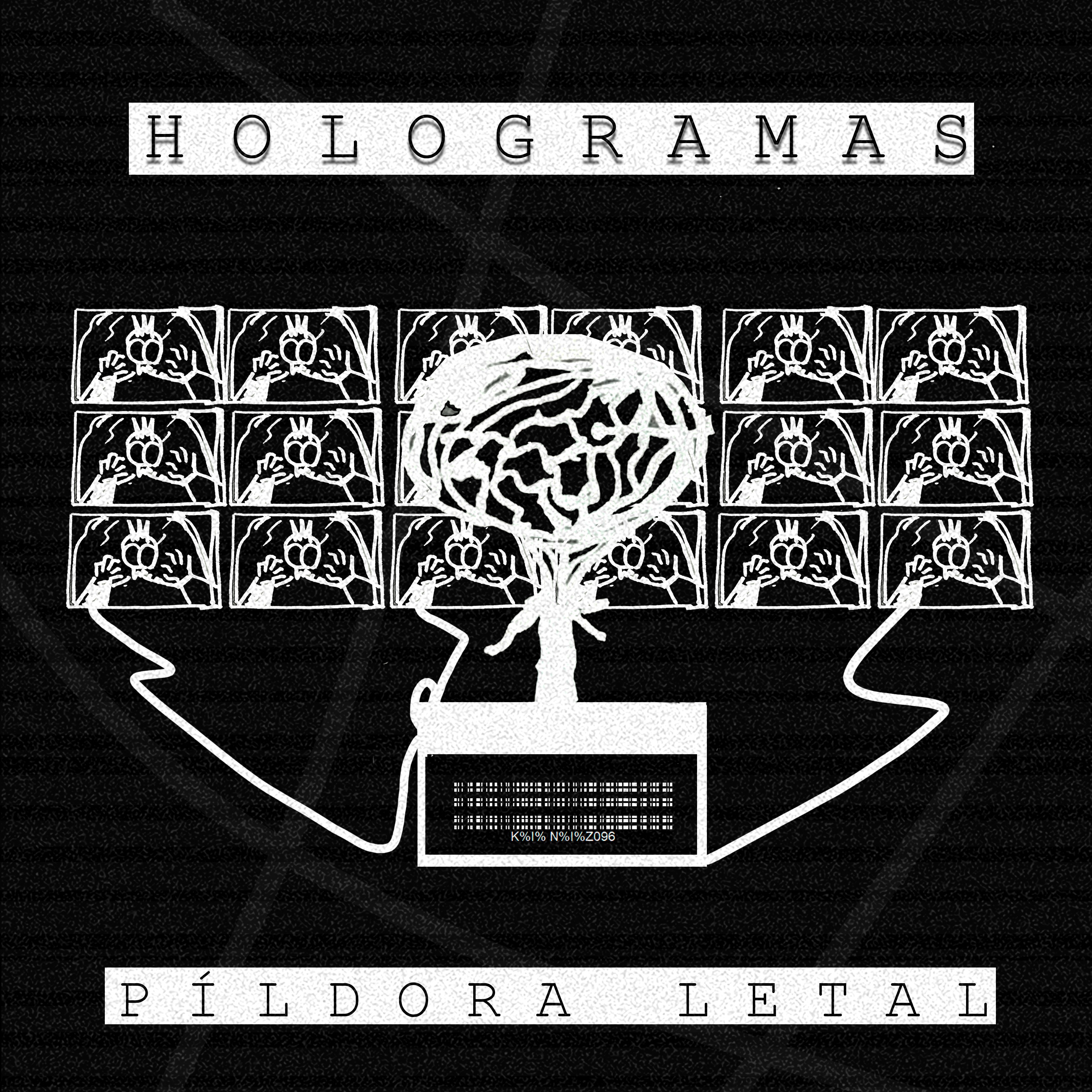 Hologramas