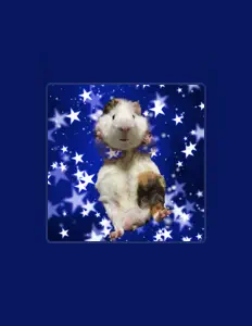 MoruGororin सुनें, म्यूज़िक वीडियो देखें, बायो पढ़ें, दौरे की तारीखें और बहुत कुछ देखें!