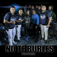 No Te Burles (En Vivo) - Single - Porfi Baloa