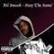 Stay the Same (feat. Atl Smook) - Platinum Ent lyrics