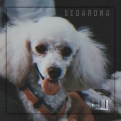 Nos Envolvemos - Single