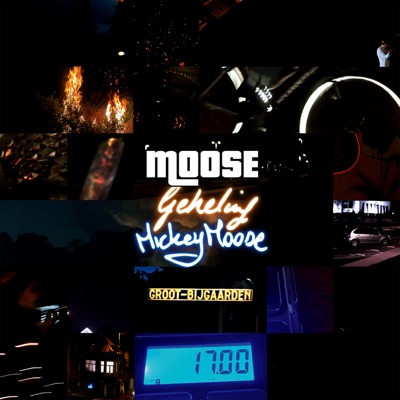 Geheling / Mickey Moose - Single