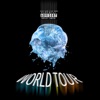 WorldTour (feat. 300Flow, id_Bash & Rana') - Single