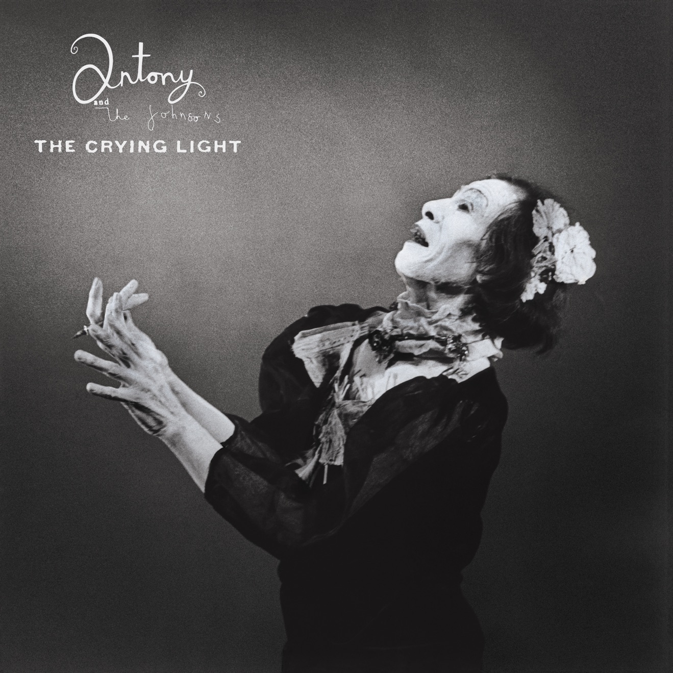 Antony and the Johnsons & ANOHNI – The Crying Light (2008) [iTunes Match M4A]