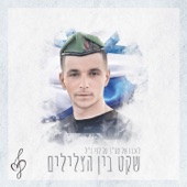 שקט בין הצלילים artwork