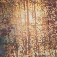 Awaken - Single - SKY FOLK & Patrick Zelinski