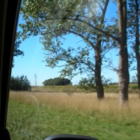 The Ground - Single - Diego Collatti