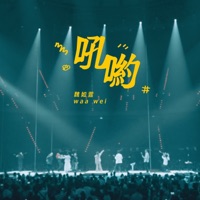 吼喲 (HAVE A NICE :DAY 巡迴演唱會 Live) - Single - Waa Wei