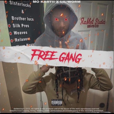 FREE GANG (feat. Mo Kartii) - Single