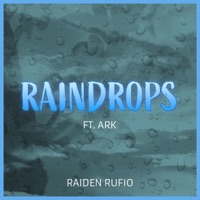 Raindrops (feat. ARK) - Single - Raiden Rufio