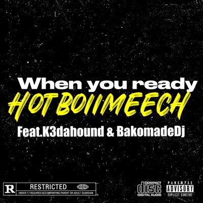 When you ready (feat. K3dahound & BakomadeDj) - Single