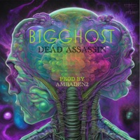 Dead Assassin (feat. BiGGhost) - Single - Ambaden2