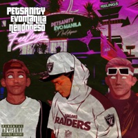 Feelings (feat. Evo Manila & Neildopeso) - Single - Petsanity