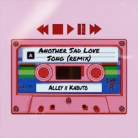 Another Sad Love Song (Remix) - Single - Alley & Kabuto
