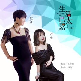 生活已太累 (伴奏版) 赵洋 & 卢喃