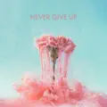 Never Give Up