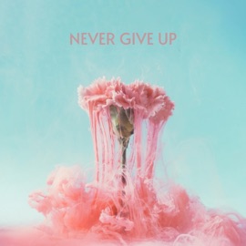 Never Give Up Jeffrey James & LÒNIS