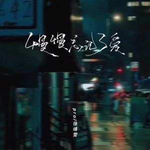 慢慢忘记了爱 - Single