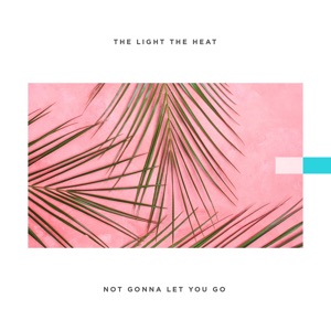 Not Gonna Let You Go - Single