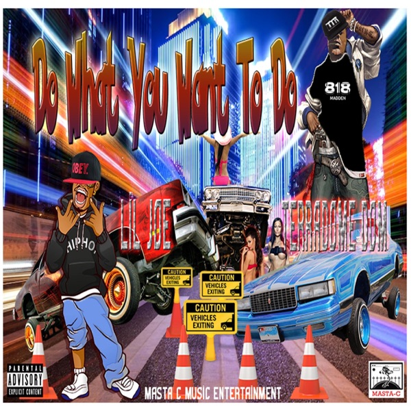 Do What You Want To Do (feat. LiL Joe & Terradome Dom)