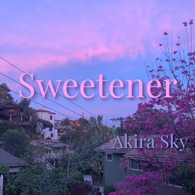 Sweetener - Single