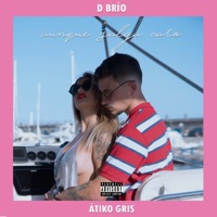 Aunque Salga Caro (feat. Átiko Gris) - Single - D Brío