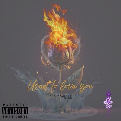 Used To Love You - Single