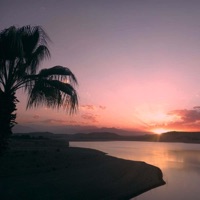 Endless (feat. Benma) - Single - Braincellz