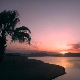 Endless (feat. Benma) Braincellz