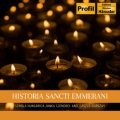 Historia Sancti Emmerani artwork
