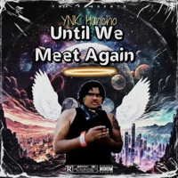 Until We Meet Again - Single - YNK Huncho