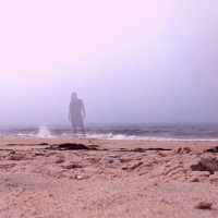 The Cycle Sideways - Dave Shichman