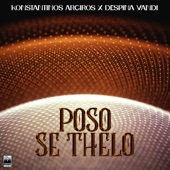 Poso Se Thelo (Mad Vma Version) artwork