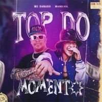 Top do Momento Remix - Single - Mc Danado & Mandika.