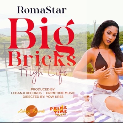 Big Bricks (High Life) - Single