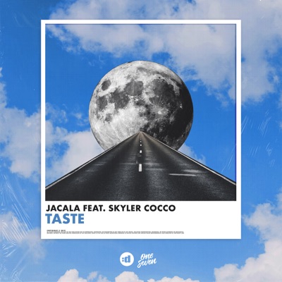 Taste (feat. Skyler Cocco) - Single