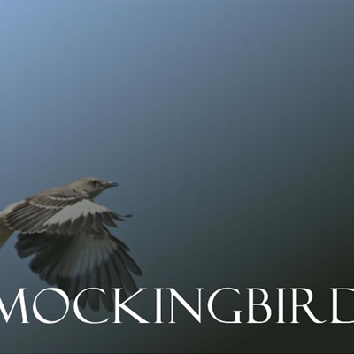 Mockingbird - ENISA (Full Cover) 