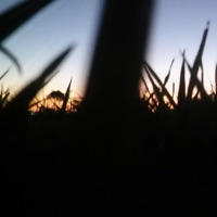 No Veo El Sol //Bootleg// (Bootleg Version) - Single - jaluel 999